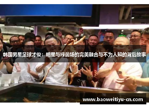 韩国男星足球才俊：明星与绿茵场的完美融合与不为人知的背后故事